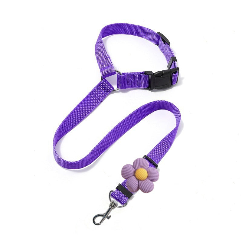 🔥HOT SELL🎁2-in-1 Dog Car Seat Belt & Walking Leash