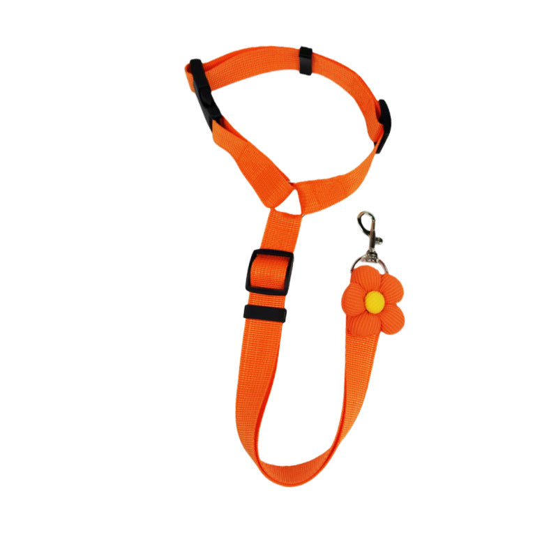 🔥HOT SELL🎁2-in-1 Dog Car Seat Belt & Walking Leash