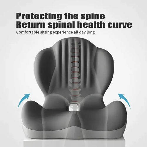 🔥Last Day 75% OFF🔥Ergonomic Memory Foam Seat Cushion with Lumbar and Back Support, Relieves Back Pain, Reduces Pressure